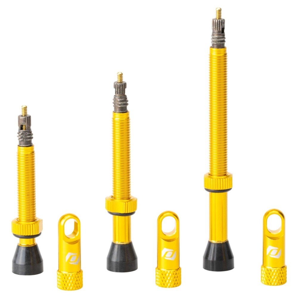 Valvula Tubeless Gold 2