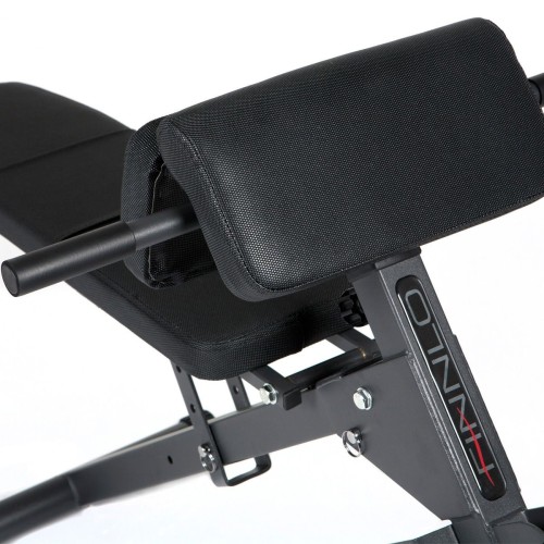 Banco abdominales AB&BACK-TRAINER Hammer
