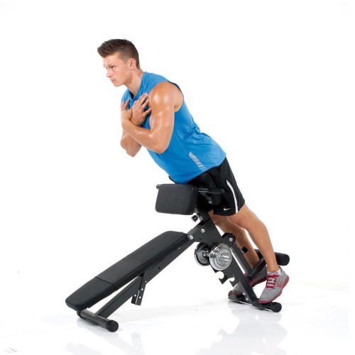 Banco abdominales AB&BACK-TRAINER Hammer