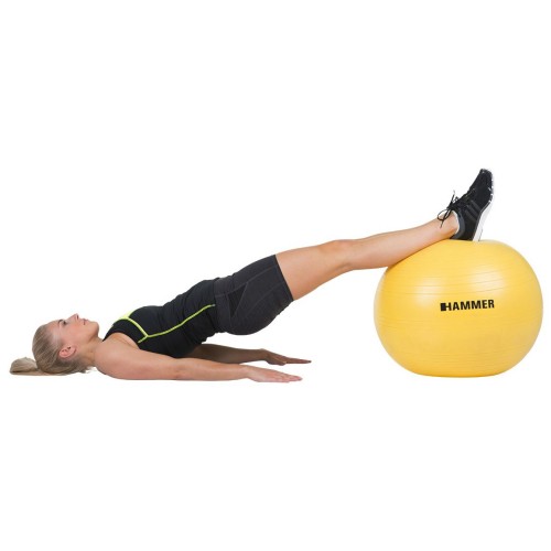 Pelota GYM BALL 55 cm Hammer | Ejercicio, Estiramientos y Core